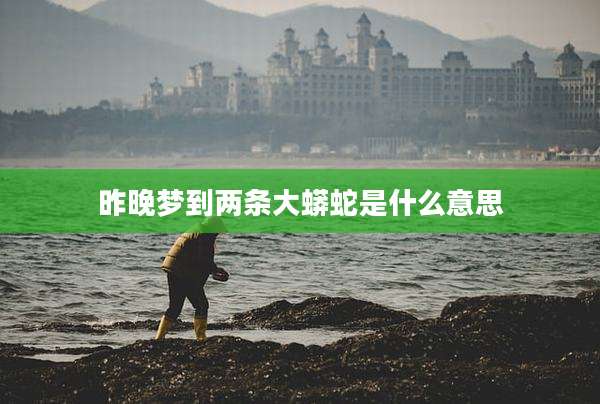 昨晚梦到两条大蟒蛇是什么意思