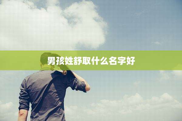 男孩姓舒取什么名字好