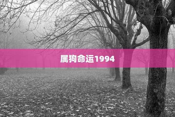 属狗命运1994