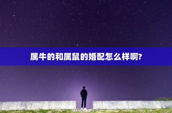 属牛的和属鼠的婚配怎么样啊?