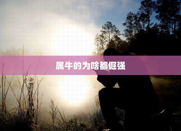 属牛的为啥都倔强