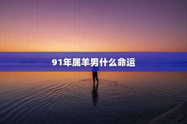 91年属羊男什么命运
