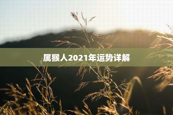 属猴人2021年运势详解