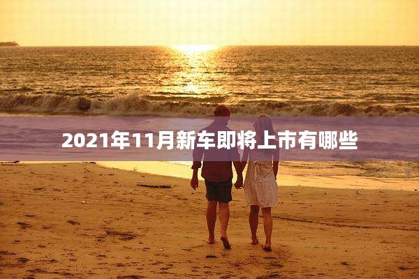 2021年11月新车即将上市有哪些