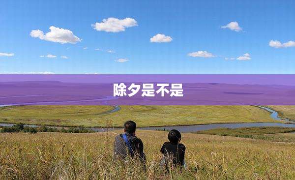 除夕是不是