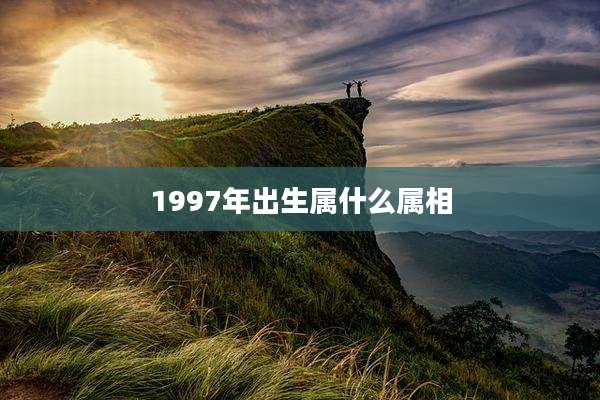 1997年出生属什么属相