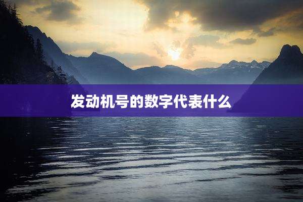 发动机号的数字代表什么