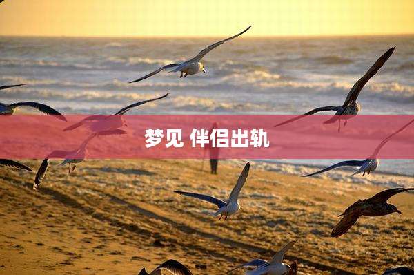 梦见 伴侣出轨
