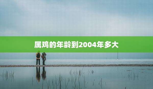 属鸡的年龄到2004年多大