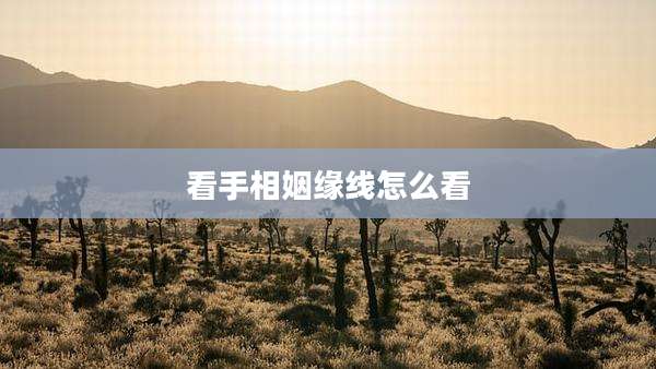 看手相姻缘线怎么看
