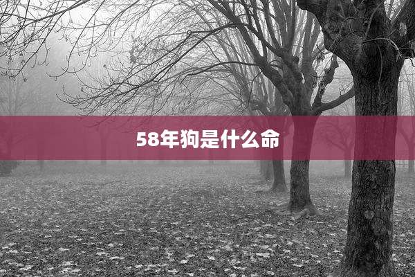 58年狗是什么命