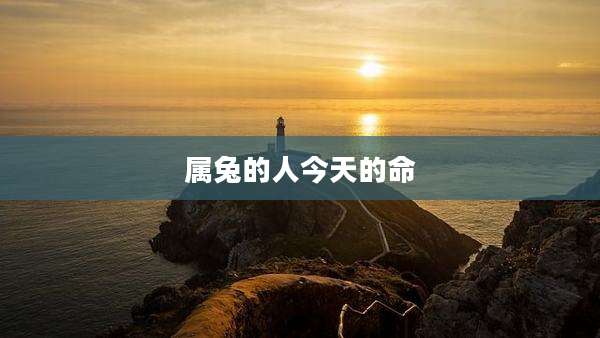 属兔的人今天的命