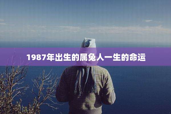 1987年出生的属兔人一生的命运