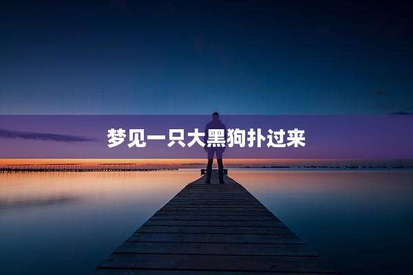 梦见一只大黑狗扑过来