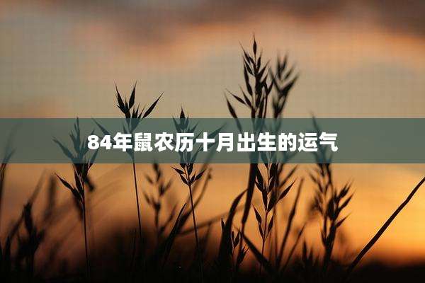 84年鼠农历十月出生的运气