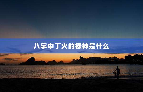 八字中丁火的禄神是什么