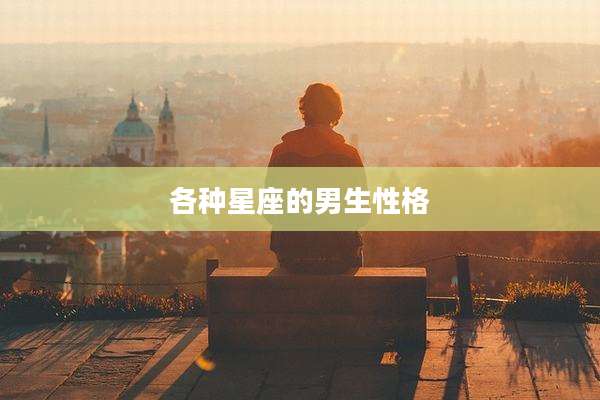 各种星座的男生性格