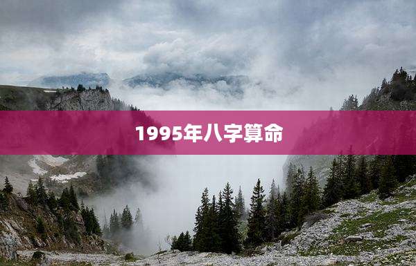 1995年八字算命