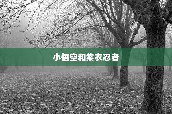 小悟空和紫衣忍者