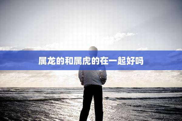 属龙的和属虎的在一起好吗