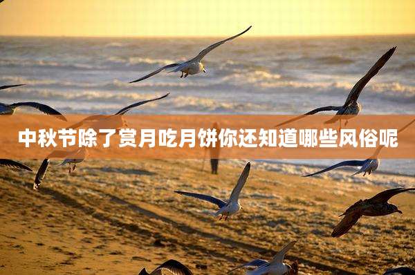 中秋节除了赏月吃月饼你还知道哪些风俗呢