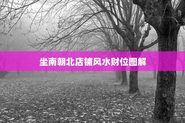 坐南朝北店铺风水财位图解