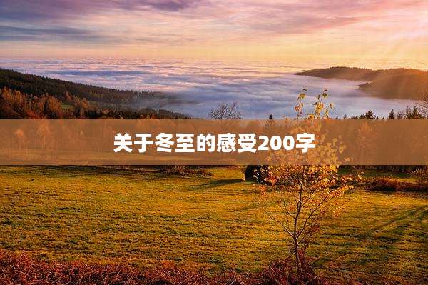 关于冬至的感受200字
