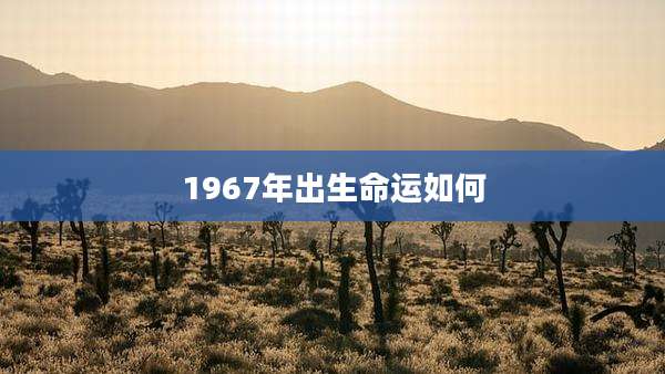 1967年出生命运如何