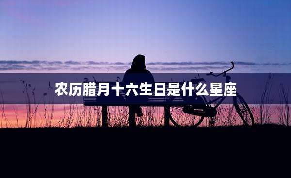 农历腊月十六生日是什么星座