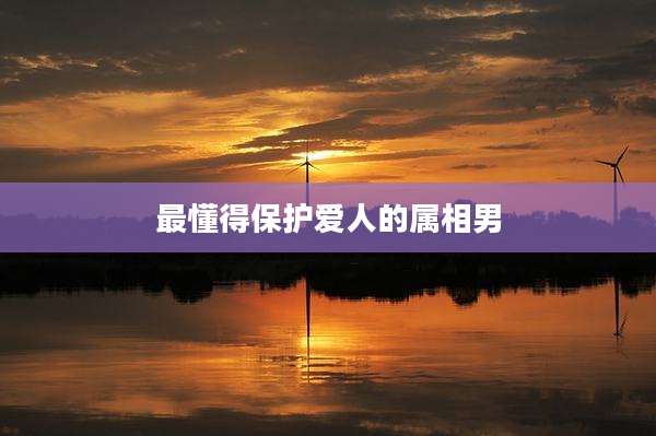 最懂得保护爱人的属相男