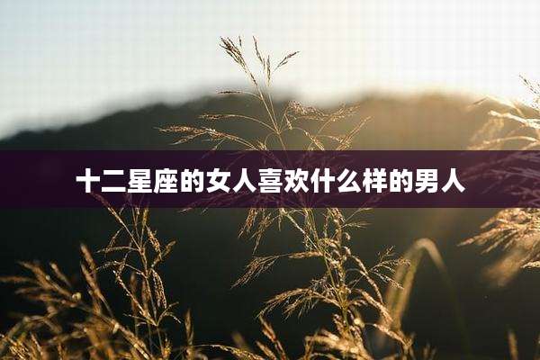 十二星座的女人喜欢什么样的男人