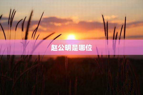 赵公明是哪位