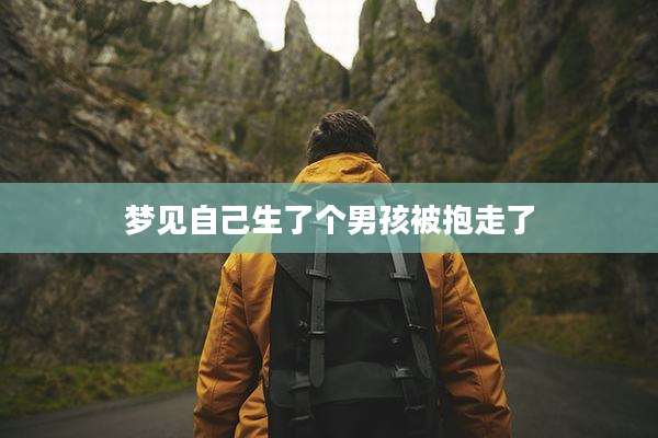 梦见自己生了个男孩被抱走了
