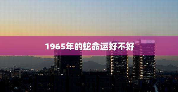 1965年的蛇命运好不好