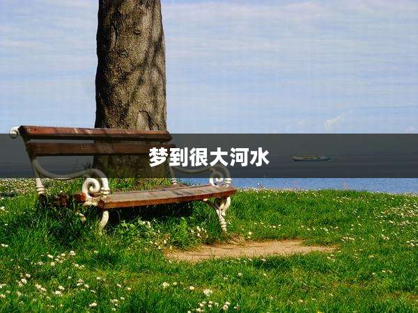 梦到很大河水
