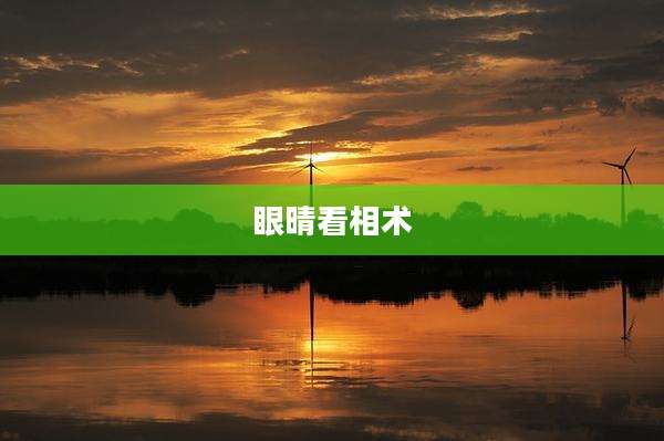 眼晴看相术