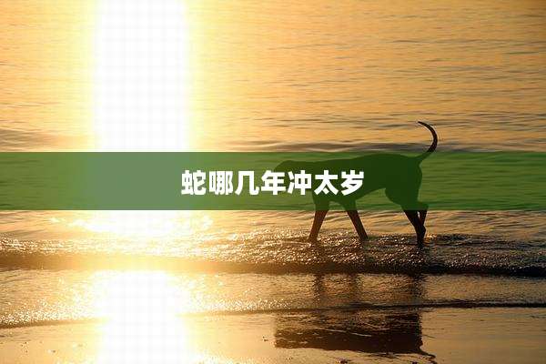 蛇哪几年冲太岁