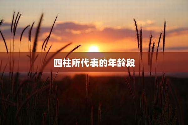 四柱所代表的年龄段
