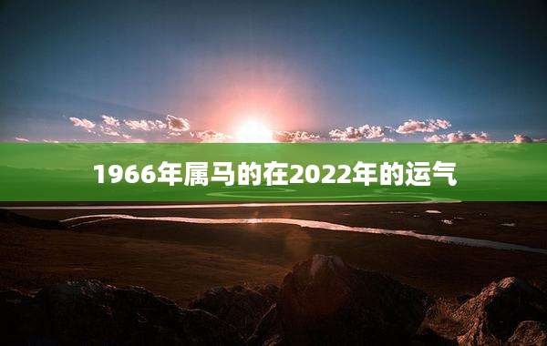1966年属马的在2022年的运气