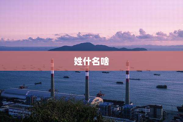 姓什名啥