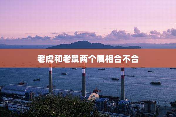 老虎和老鼠两个属相合不合