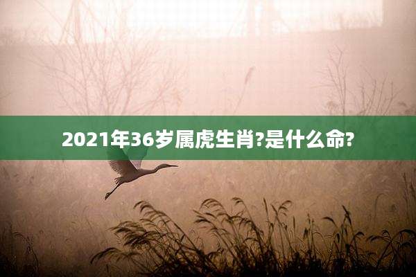 2021年36岁属虎生肖?是什么命?