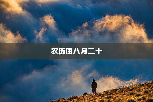 农历闰八月二十