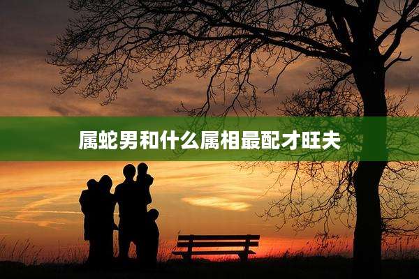 属蛇男和什么属相最配才旺夫
