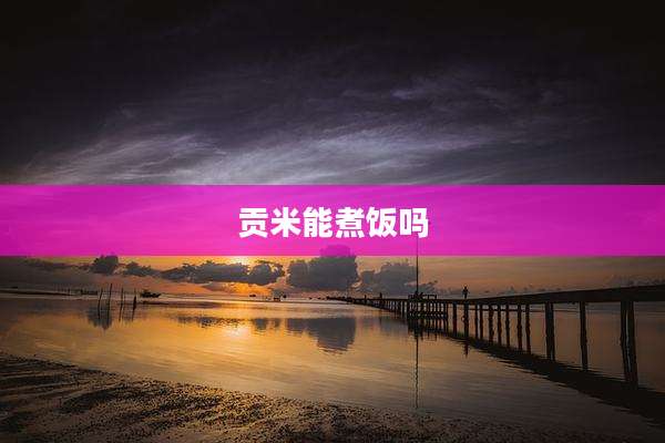 贡米能煮饭吗
