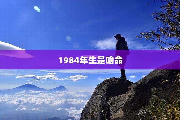 1984年生是啥命