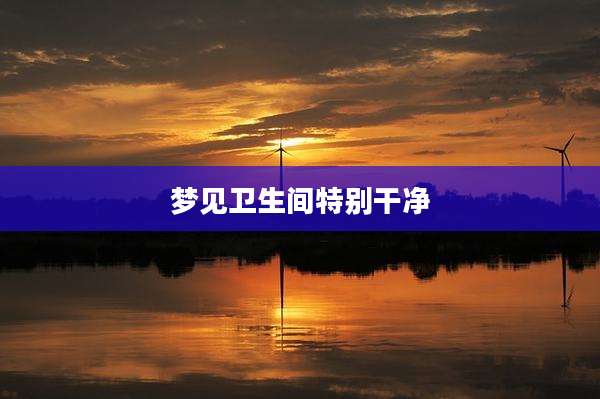 梦见卫生间特别干净