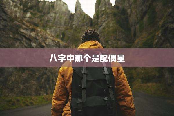 八字中那个是配偶星
