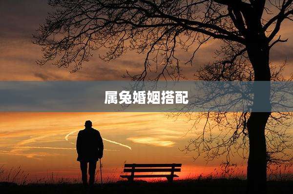 属兔婚姻搭配