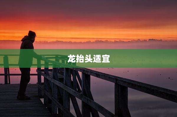 龙抬头适宜